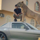 Illustration for article titled Lion On A Mercedes SLS AMG! Lion On A Mercedes SLS AMG!